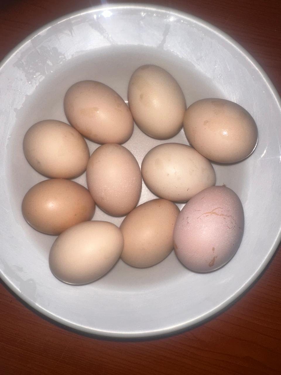 A bowl of fresh eggs